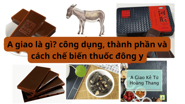 A Giao là gì, công dụng, thành phần và cách chế biến