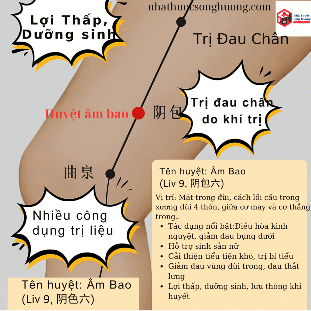 huyệt Âm Bao, vị trí, tác dụng và cách châm cứu