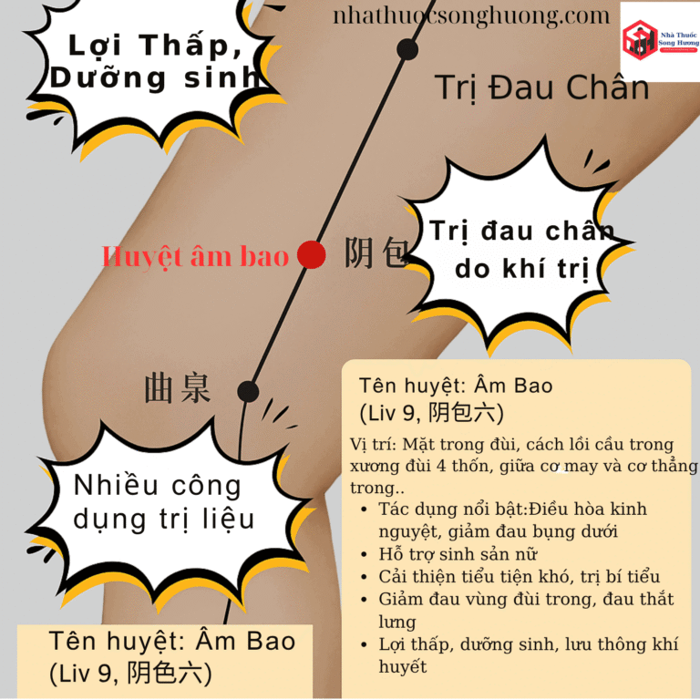 huyệt Âm Bao, vị trí, tác dụng và cách châm cứu