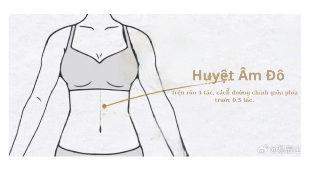 Cách xác định vị trí huyệt Âm Đô