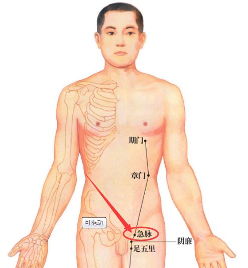 cách phối huyệt -- huyệt cấp mạch baidu