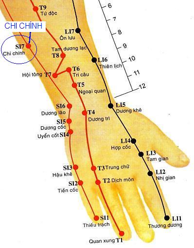 huyệt chi chính là gì