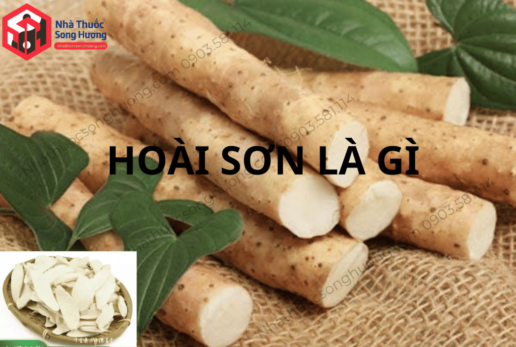 Hoài sơn là vị thuốc gì