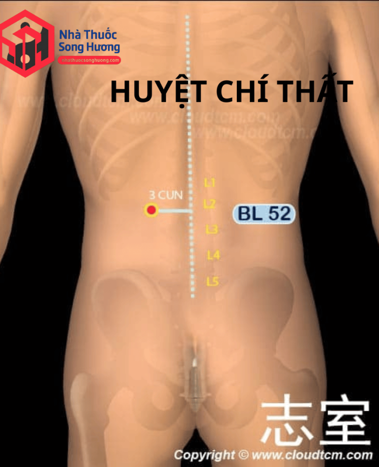 huyệt chí thất nằm ở đâu