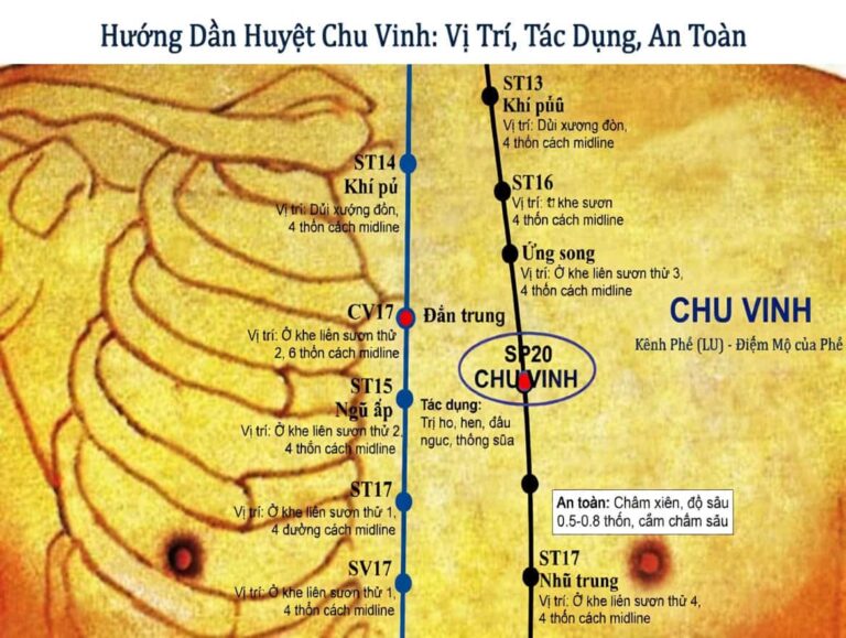 Huyệt Chu Vinh và các huyệt liên quan trong y học cổ truyền.