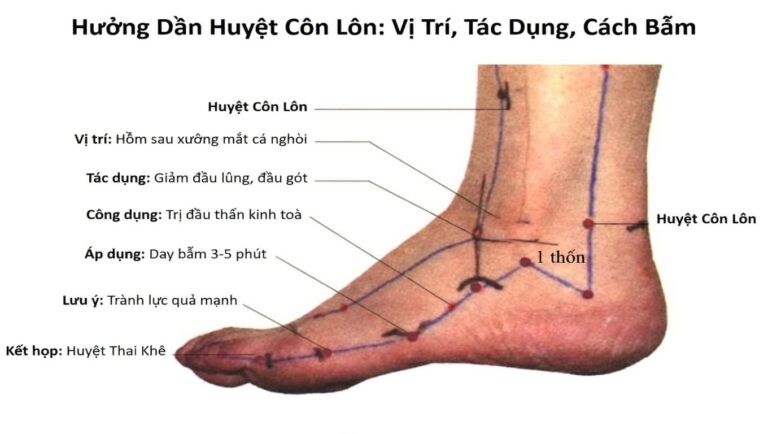 xác định huyệt côn lôn nằm ở đâu và công dụng